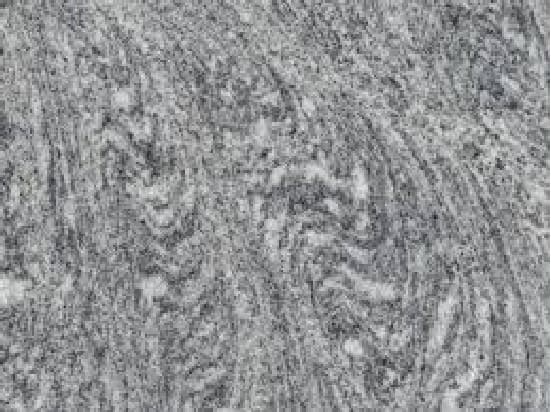 Silver Cloud granite swatch